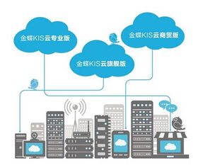 青海零售軟件應(yīng)用大全 西寧易門供應(yīng)與軟件開發(fā)指南